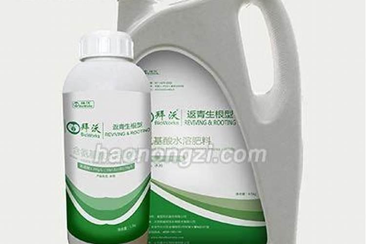 维娜沙葡萄什么时候沾药水