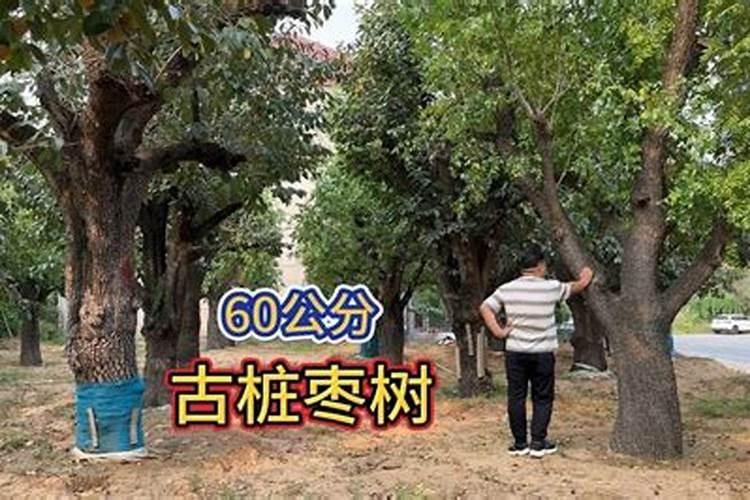 吃香蕉注意五大禁忌