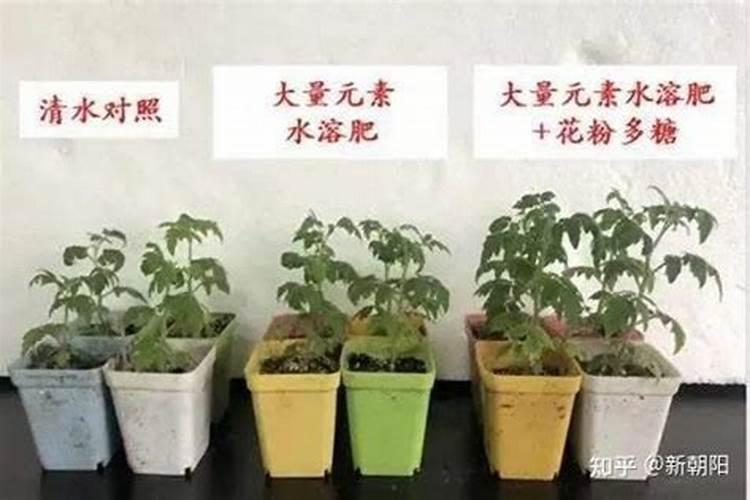 茂动:新型生物刺激素选择指南,花粉多糖茂动,逆境下的农业良方