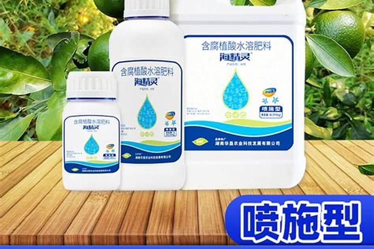 4月柑橘管理核心技术,保果工作很关键,果农如何来操作？