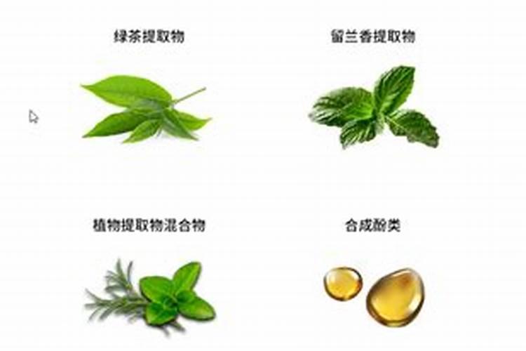 最强的叶面肥配比