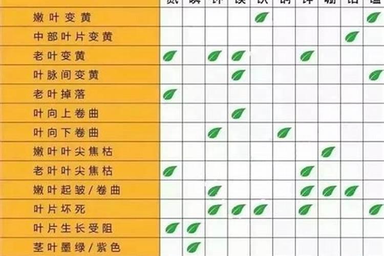 杨树施肥有哪些方法？
