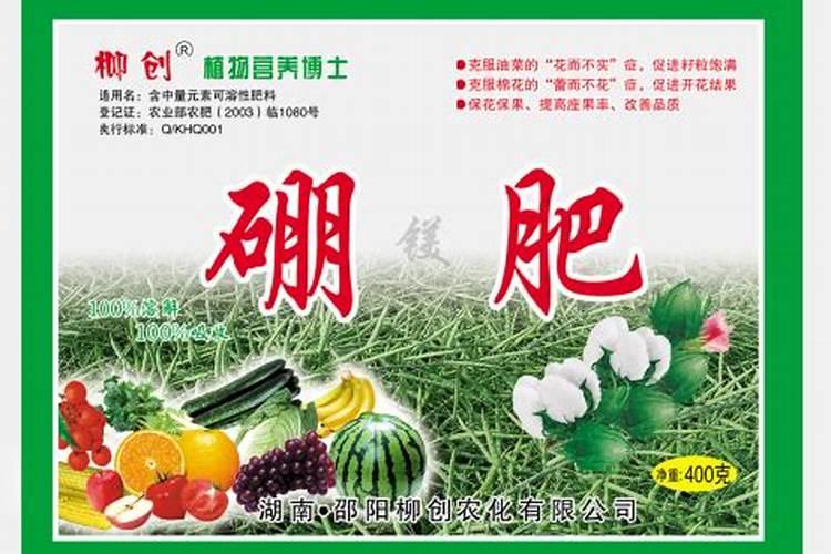 兰花叶面肥有哪些