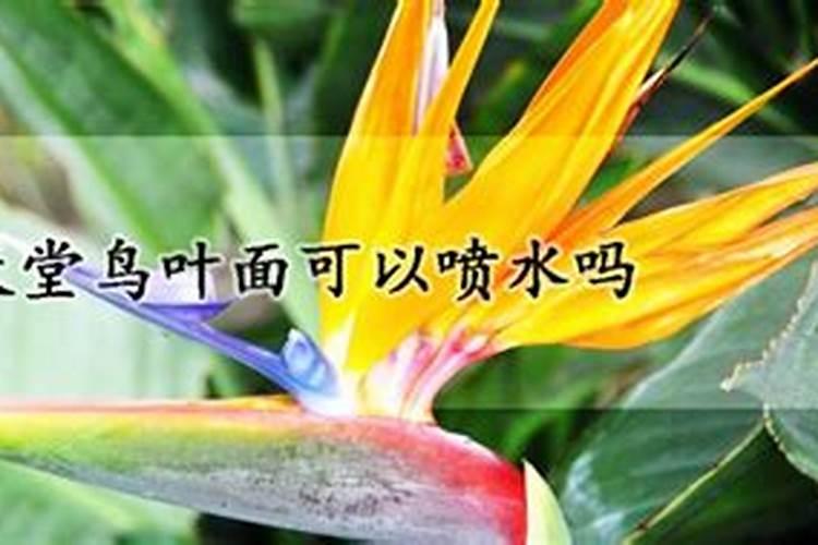 水产腐植酸钠的用途 黄腐酸和腐殖酸的区别