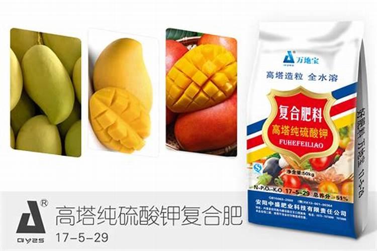 芒果盛花期能灌水吗？