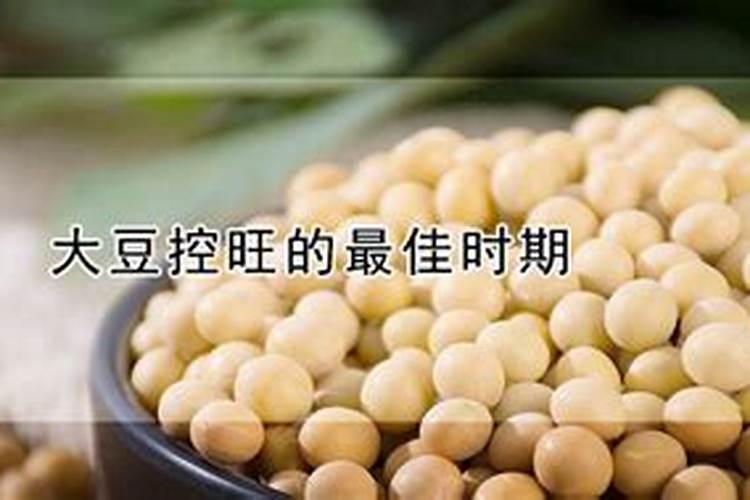 大豆花打什么叶面肥好？
