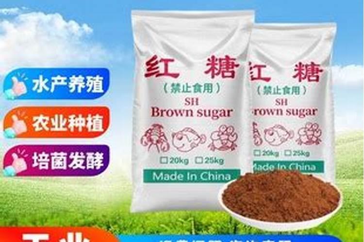 红糖加酵母发酵有机肥