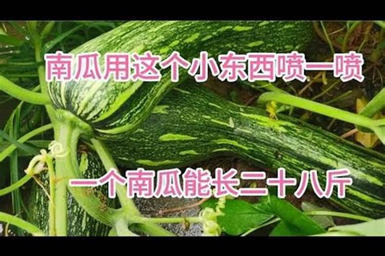 弗施特复合肥是大厂家吗