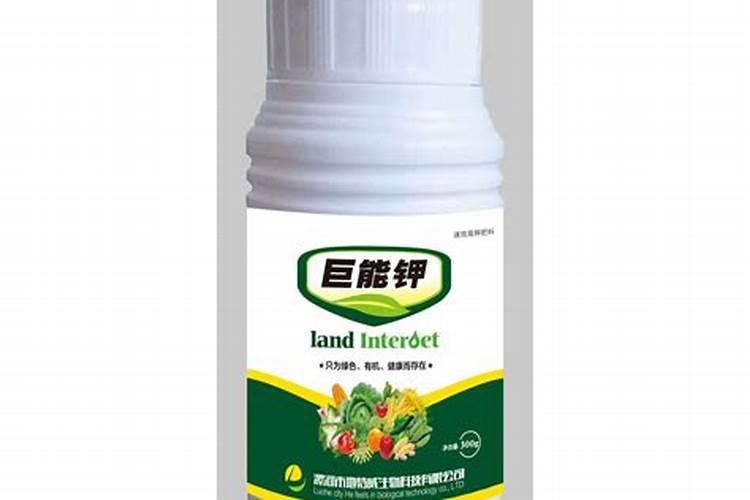 青菜施什么肥最好