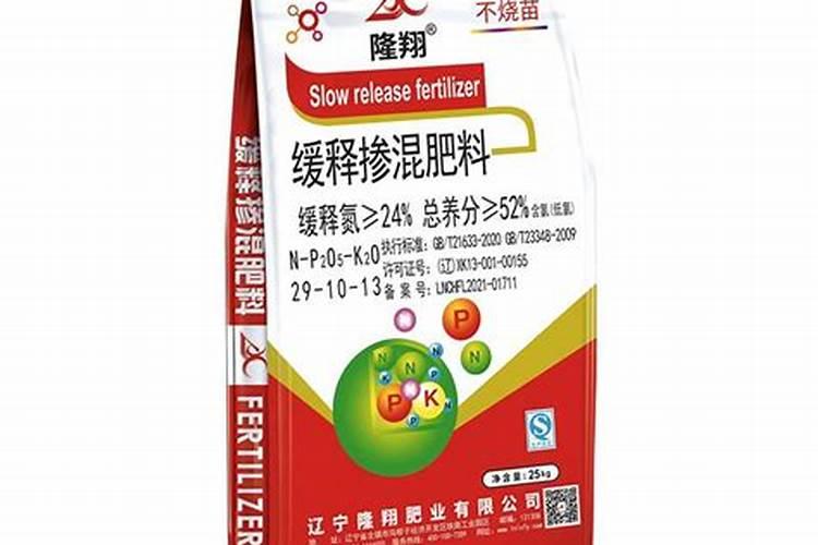 果树施肥操作方法