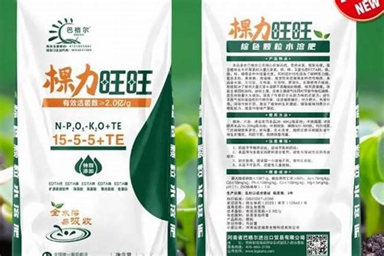 三角梅“甜西瓜”品种,叶片皱缩向上卷曲,叶缘轻微烧灼状,有说是缺...