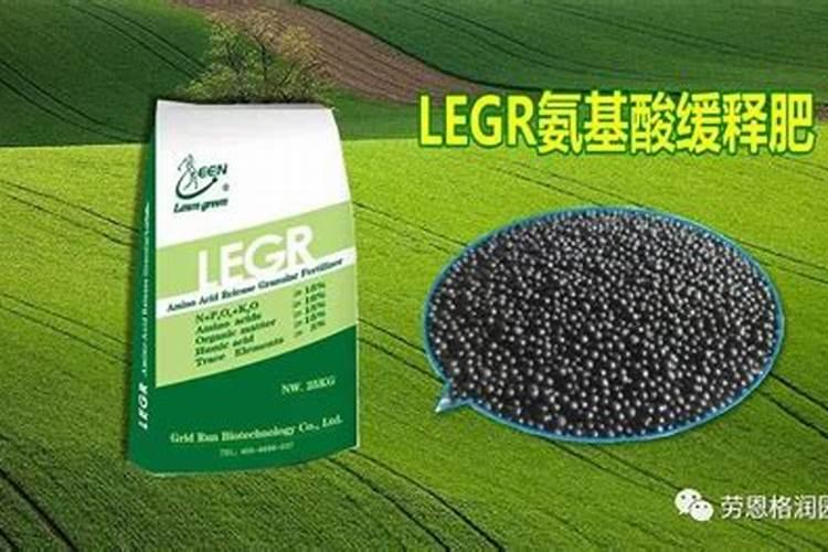 植株施肥方式有哪些