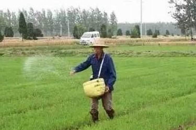 诺谱丰水溶肥中氮肥是什么氮