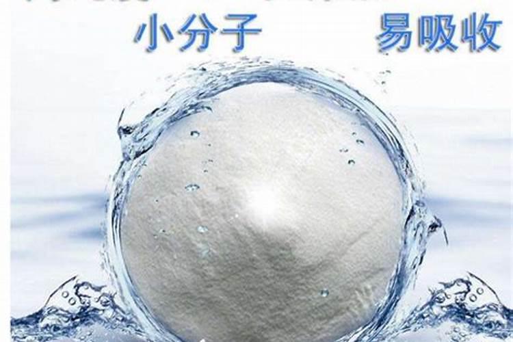 兰花为什么不开花的原因