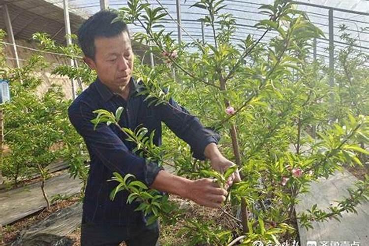米粉怎么做成馒头样？