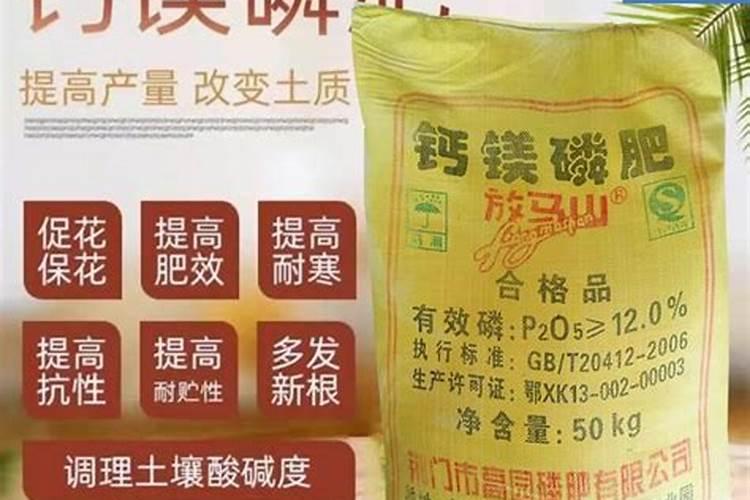 果树缺钙用什么肥料最适合(果树需补什么钙肥最好)