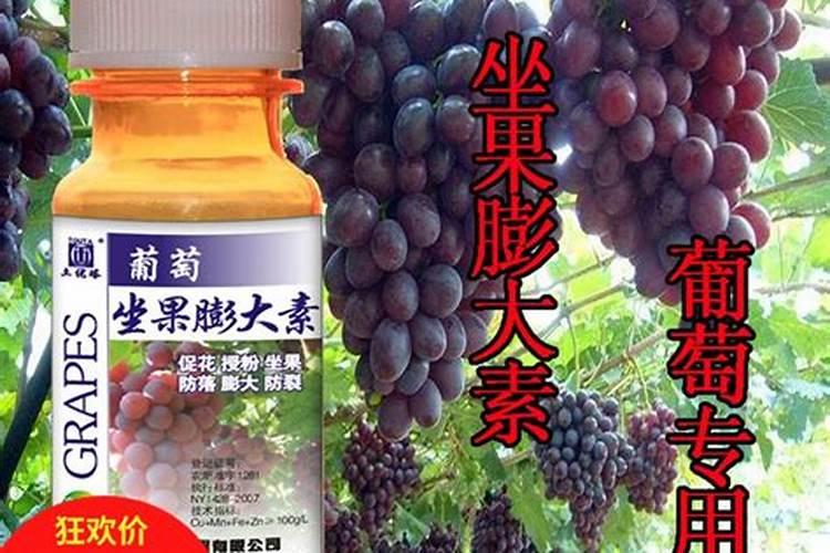 红提葡萄第一个膨大期施什么肥也就是开花后应该施什么肥料