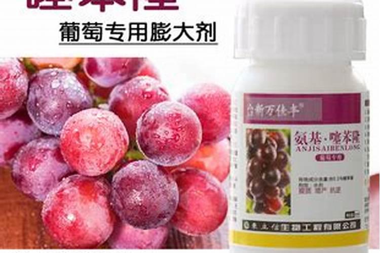 红提7月底8月初肥的由来和传说