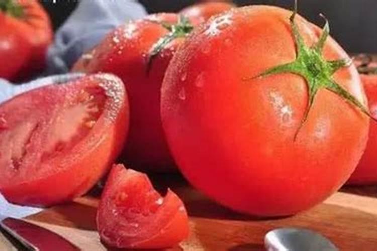 小丽花是多年生吗