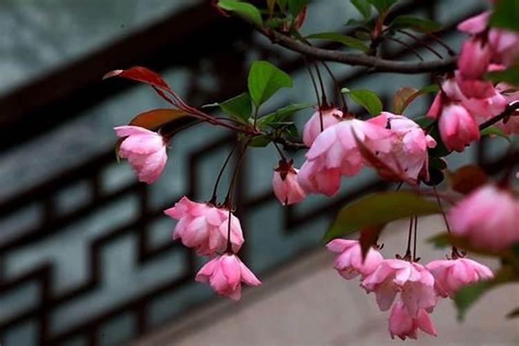 复合肥,氮肥,磷肥,钾肥有什么区别