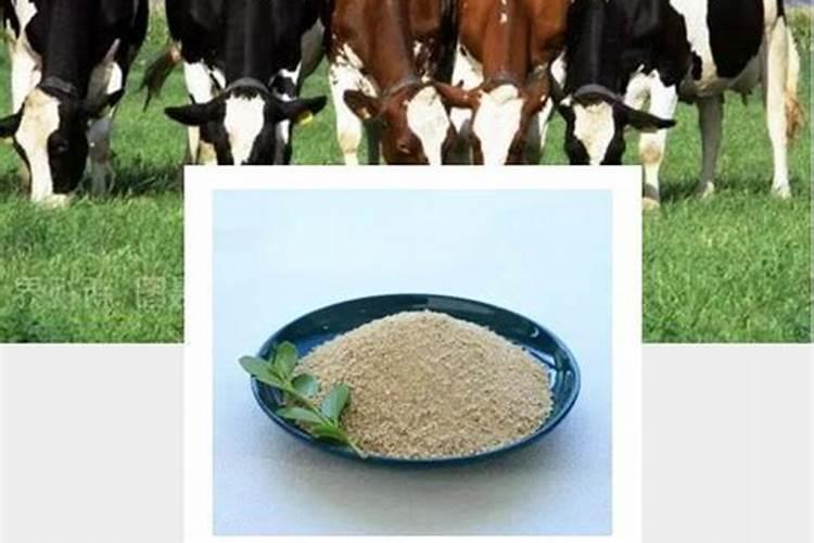 豆角黄叶病用什么药打好 打药后多久可以吃