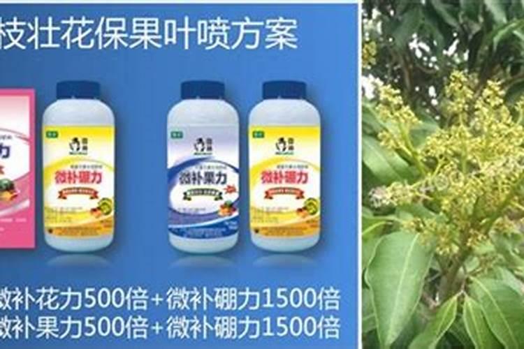 自家的柑橘树长势不太好,用云大YD120长效芸苔素效果咋样？