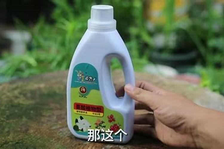 催花用什么肥料最好,自制催花的花肥