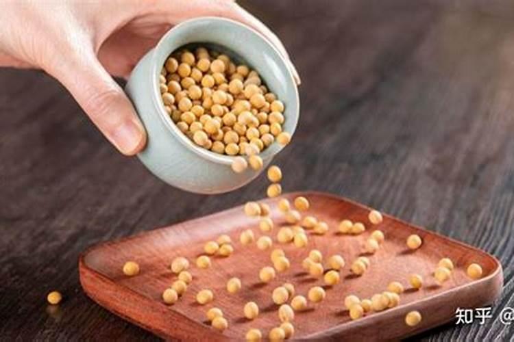 黄豆做肥料注意的事项 制作花肥的方法