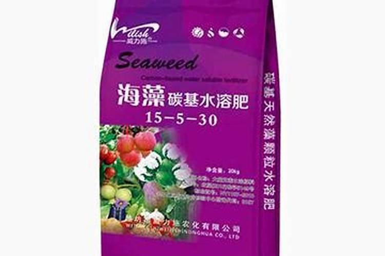 无筋豆施什么肥最好