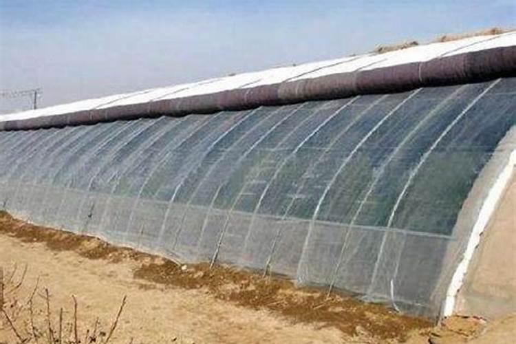 请问给温室里的植物喷洒叶面肥,阴天或者下雨天气行不行？