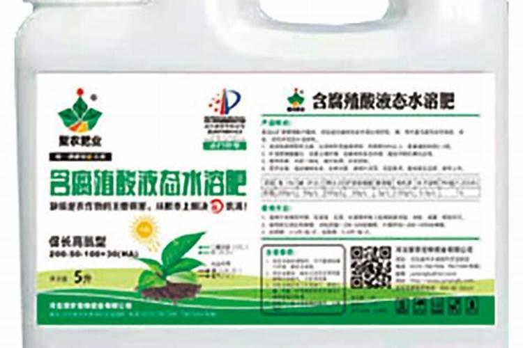兰花施什么肥