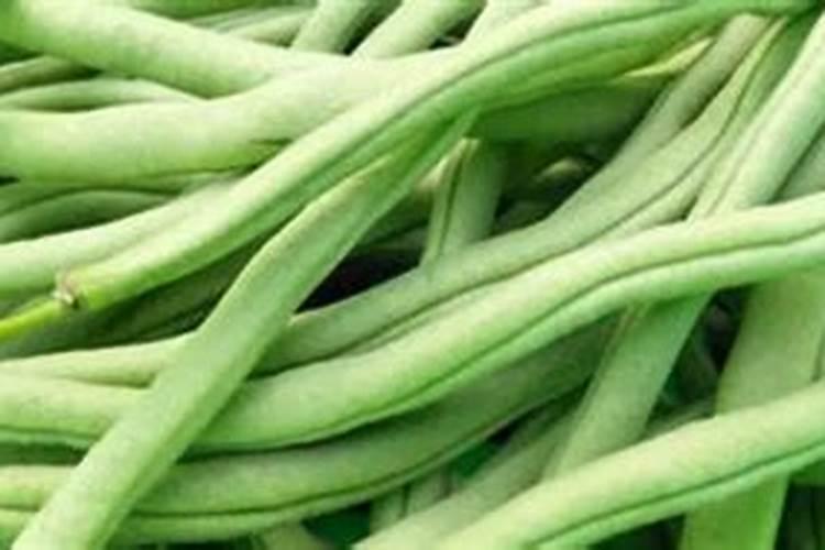稻壳炭适合种什么花 易成活