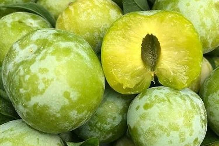 哈密瓜膨果期怎样施肥
