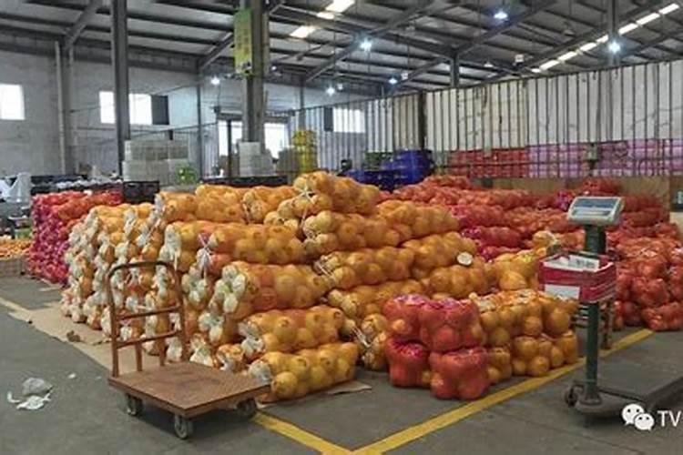许昌最大的蔬菜批发市场在哪里
