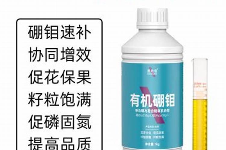 蛋白质有哪些,怎么分别
