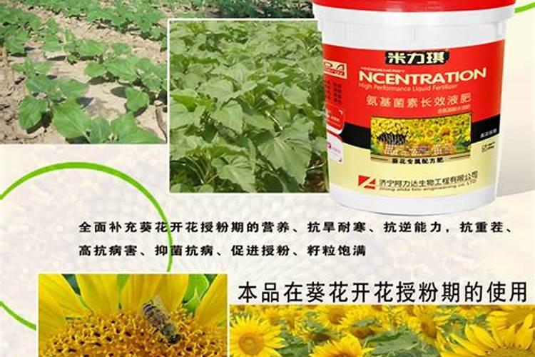 葵花追肥用什么肥好