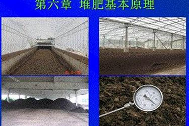 什么是堆肥？有什么作用？