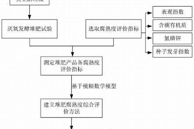 红薯苗的种植方法步骤