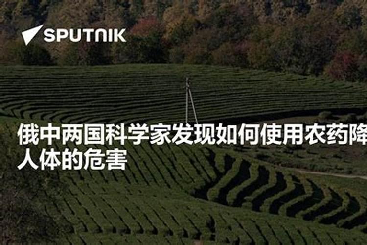 全面禁止对俄出口,G7下死手了,一旦实现,将让俄欧进一步撕裂