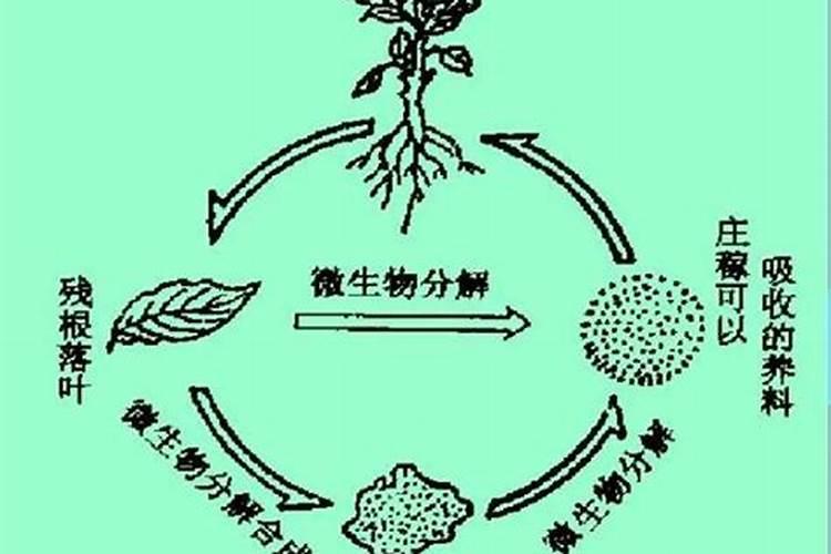 腐植酸盐 絮凝的 原因？怎么处理？谢谢