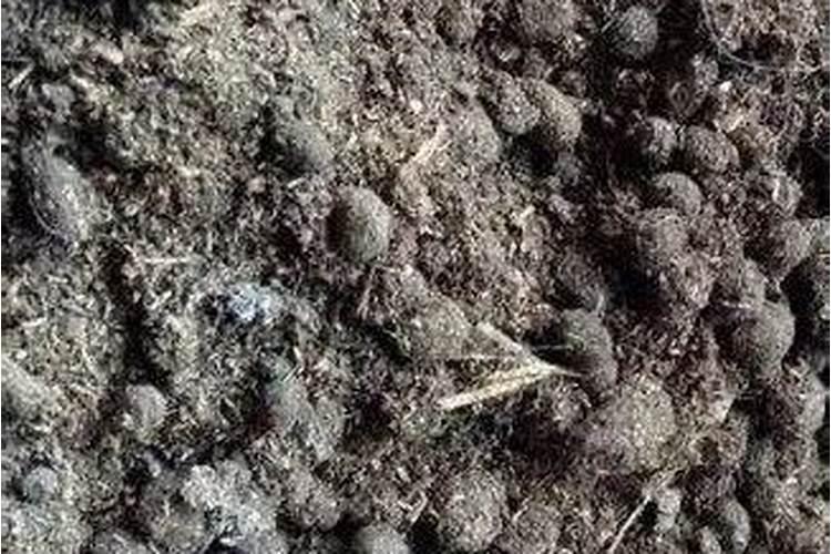 生化黄腐酸钾对植物的作用,是用什么制作的