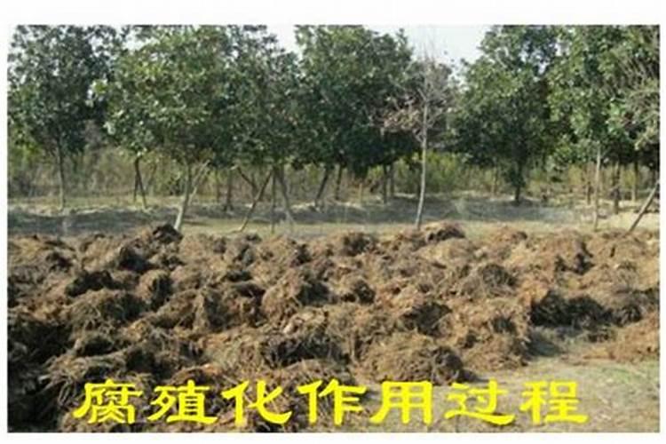腐植酸的环境影响