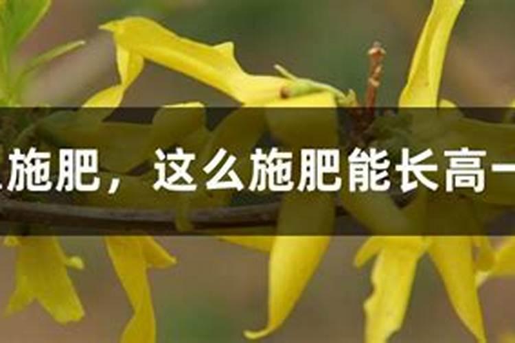 家庭种植葡萄树入冬前是否需要施肥？施什么肥？如何施肥？
