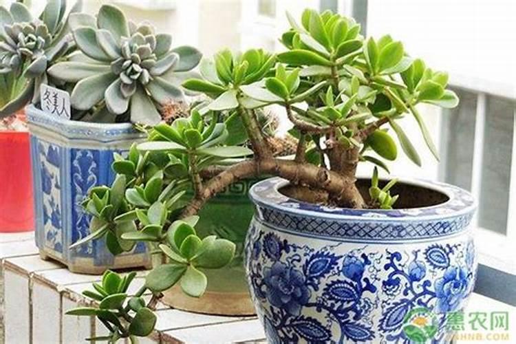 西瓜一亩地上多少底肥料