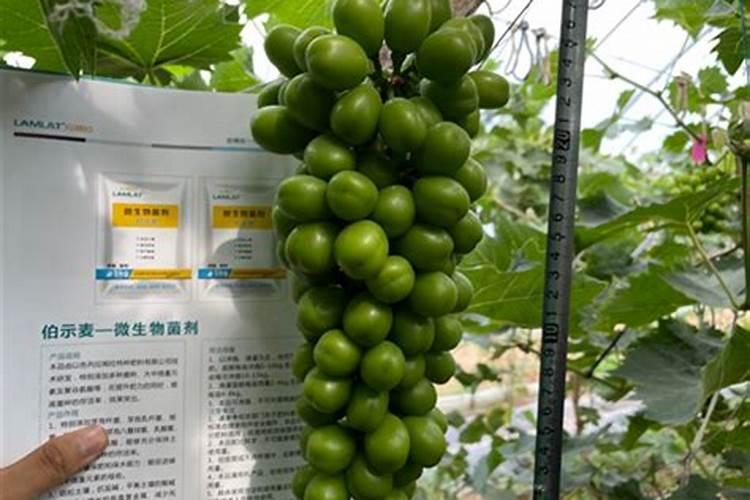 钾肥跟钙肥的分离方法