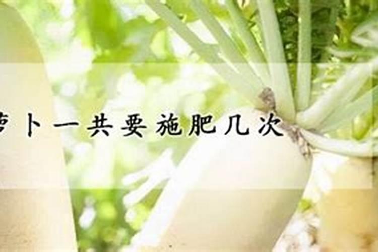 叶面肥什么牌子最好