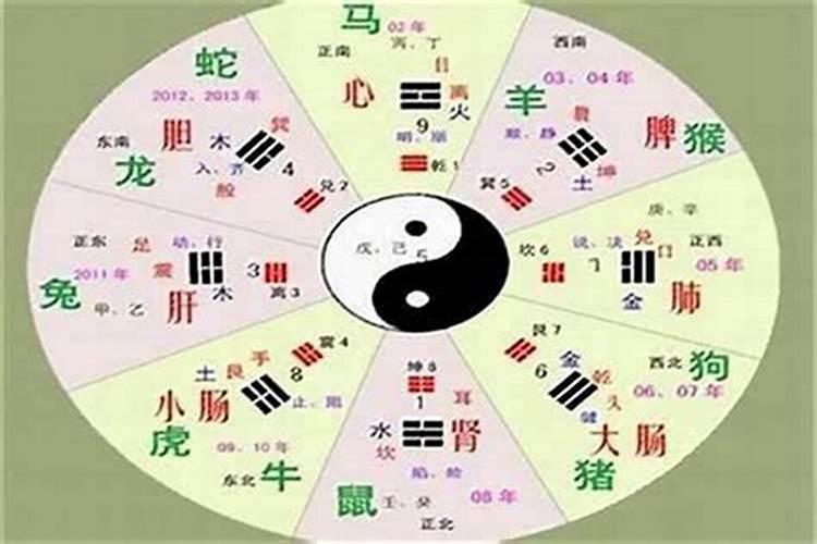 绣球花每天几点开花？