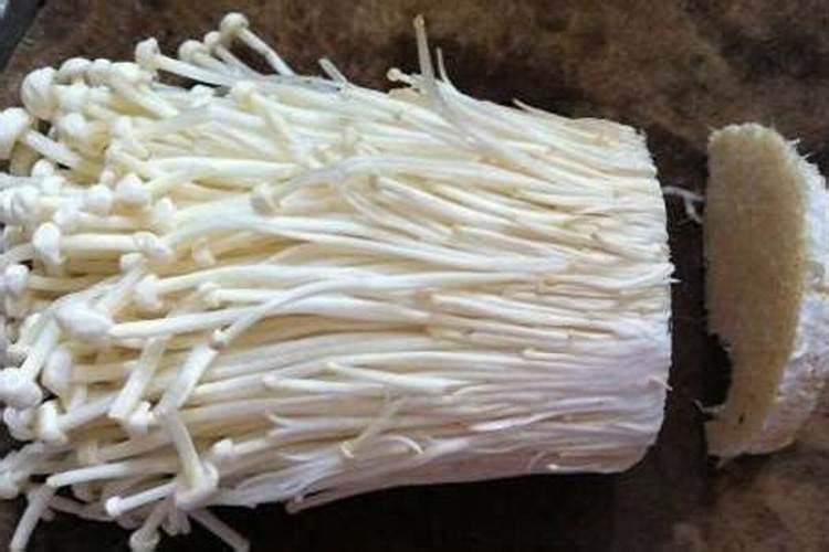 怎样识别与预防玉米的钙素缺乏症？
