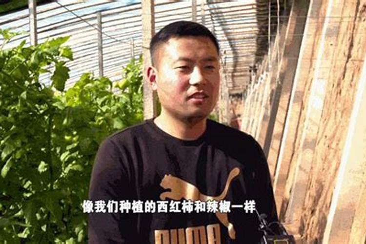 什么牌子复合肥好
