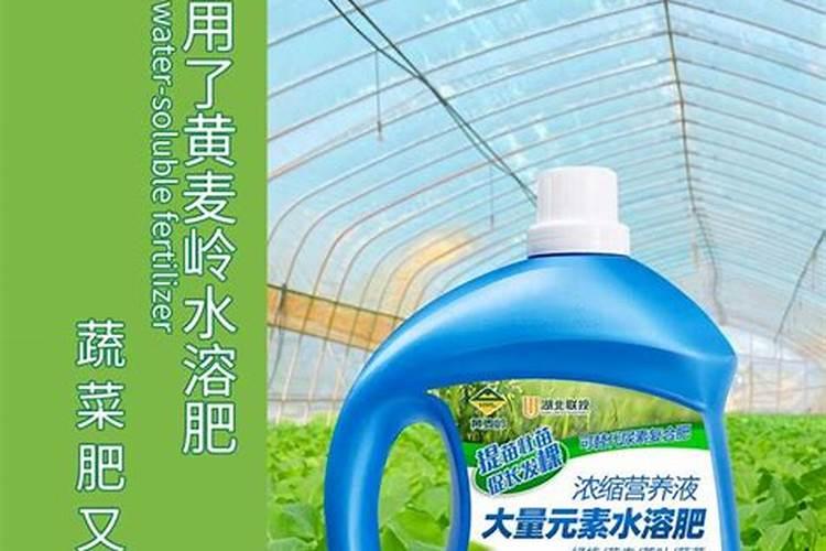 冲施大量元素水溶肥易犯的五大误区是什么呢？